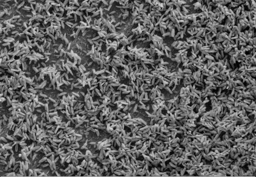 YbF3_copiright_Mathym